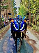 Honda ADV 350