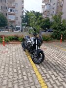 Bajaj Dominar 250 D