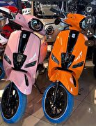 Mondial 50 Wing