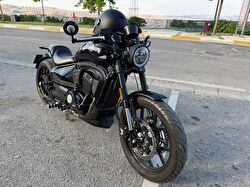 Regal Raptor Pilder 250