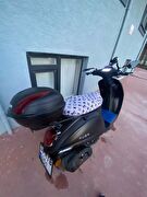 Kuba Bluebird