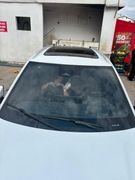 BYD SEAL U DM-I