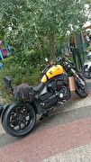 Regal Raptor Pilder 125