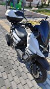 Musatti Rajon 50X
