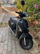 Yuki Margherita 50