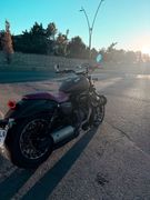 Arora CP 250
