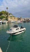 Us Boat CRUISER 495