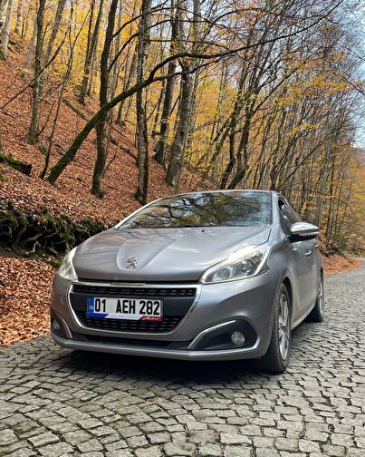 PEUGEOT 208