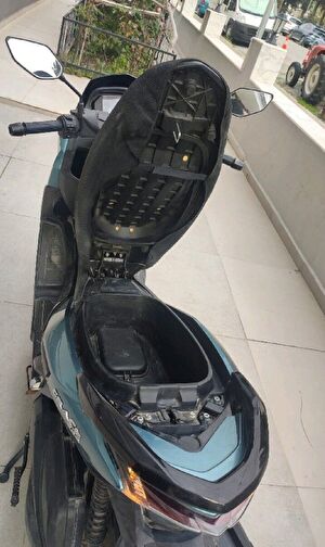 RKS Grace 202