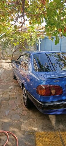 TOYOTA COROLLA