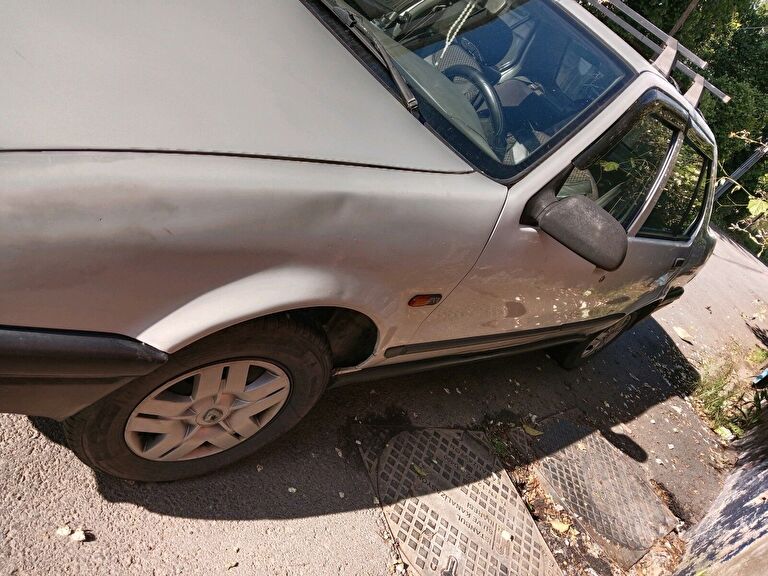 RENAULT 19