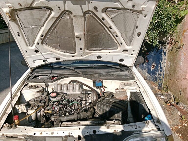 RENAULT 19