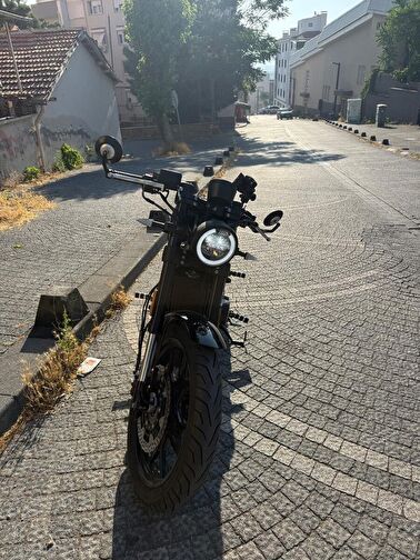 Regal Raptor Pilder 250