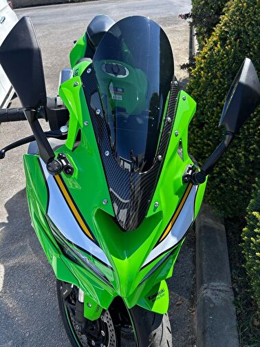 Kawasaki Ninja ZX-4RR