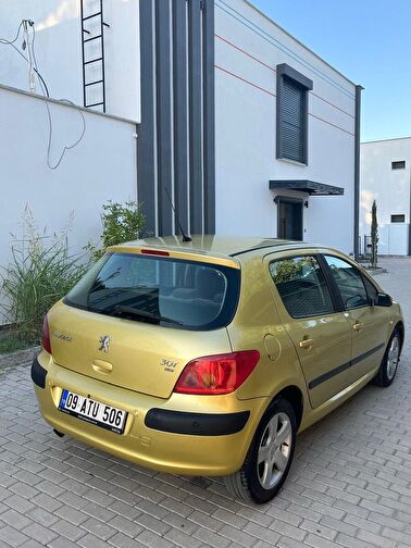 PEUGEOT 307