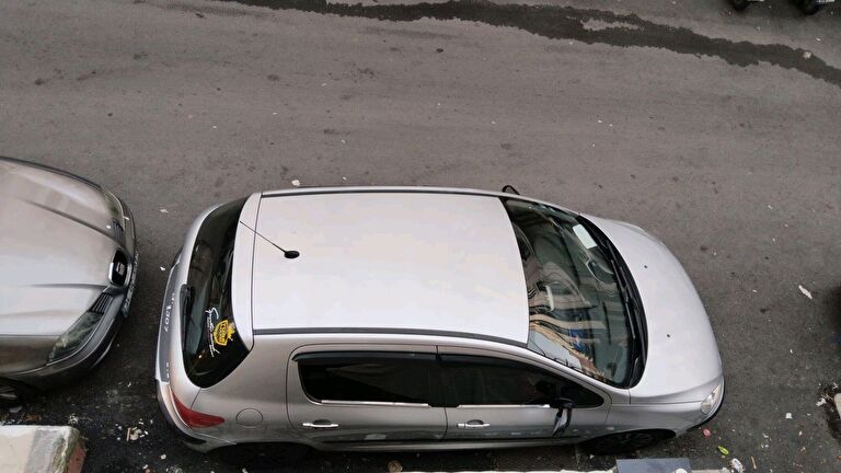 PEUGEOT 307
