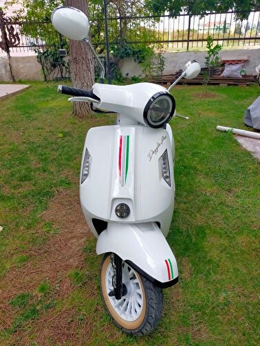 Arora Dazzle Pro 50