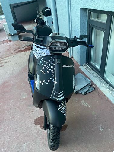Kuba Bluebird