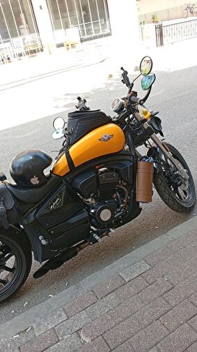 Regal Raptor Pilder 125
