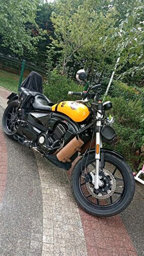 Regal Raptor Pilder 125