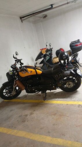 Regal Raptor Pilder 125