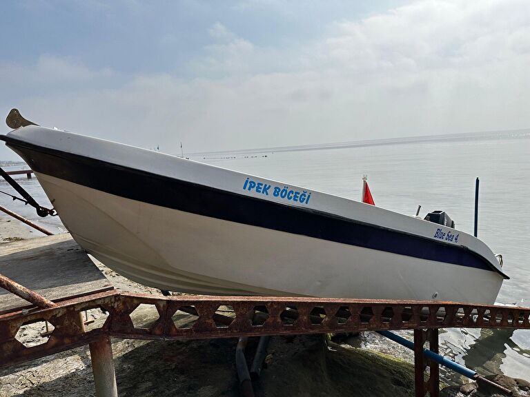 Anıl Marin