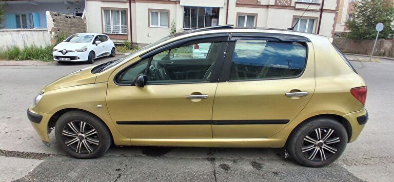 PEUGEOT 307