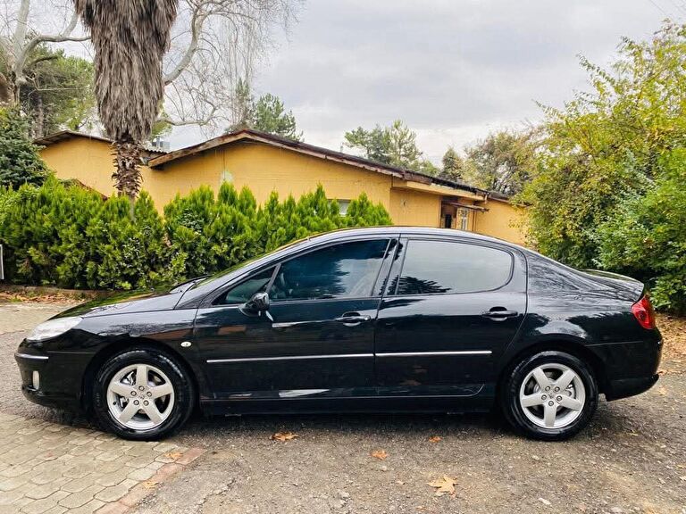 PEUGEOT 407