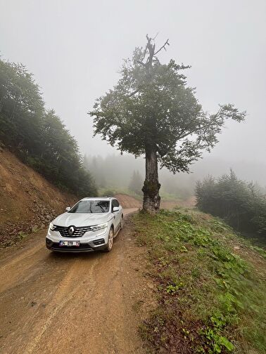 RENAULT KOLEOS