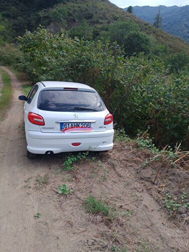 PEUGEOT 206